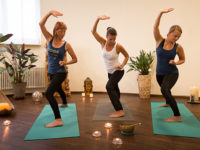 BaHeFa* Kung Fu – Workshop