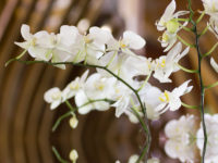 ACHTUNG Terminverschiebung – Bewegungsmeditation am Sonntag 15.12.19