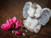 Meine Finanzen 2017 – Erkennen & In Fluss kommen