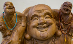 KURSPLAN ab 15.02.2021