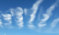 “Mein Jahr 2019”, Gehen-Abend