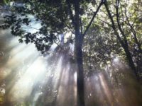 Wer bin ich wirklich? – Workshop