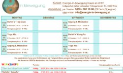 SOMMER-Kurs und Workshopplan ist ONLINE … Start: 09.07.2018