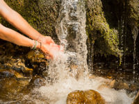 Bewegungsmeditation, Fr. 18.01.19