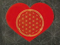 Gesegnete Weihnachten und Alles Gute für 2020